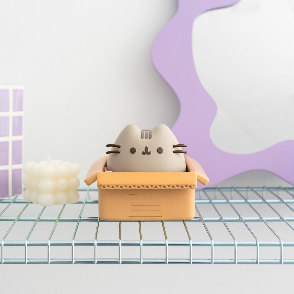 Pusheen Cat pengalåda, söt design, myntbank för besparingar