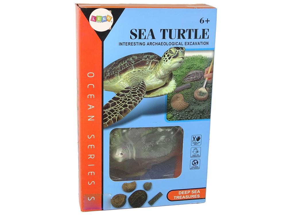 Ammonite Turtle Fossil Kit: Gräv och lär för barn 6+