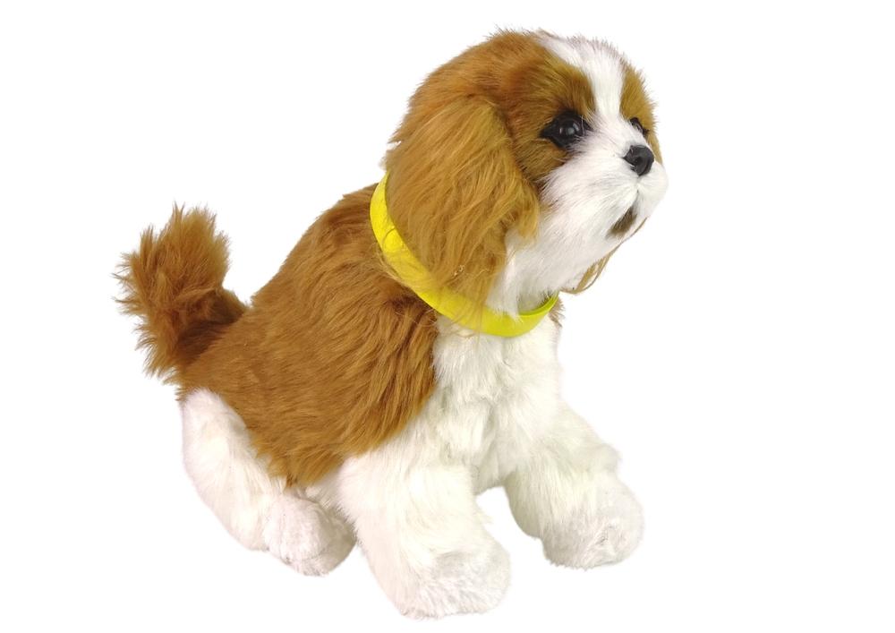 Cavalier Interactive Plush Dog: Mjuk, naturtrogen, rolig inlärningsleksak