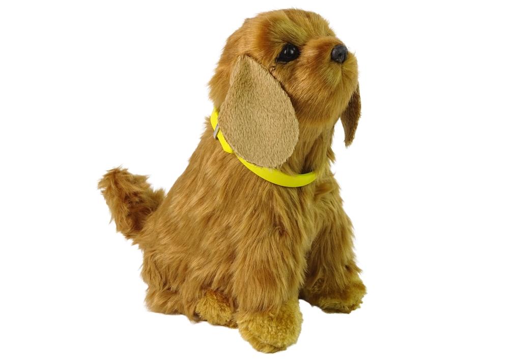 Cuddly Interactive Cocker Spaniel: Bark, Wag & Learn Fun!