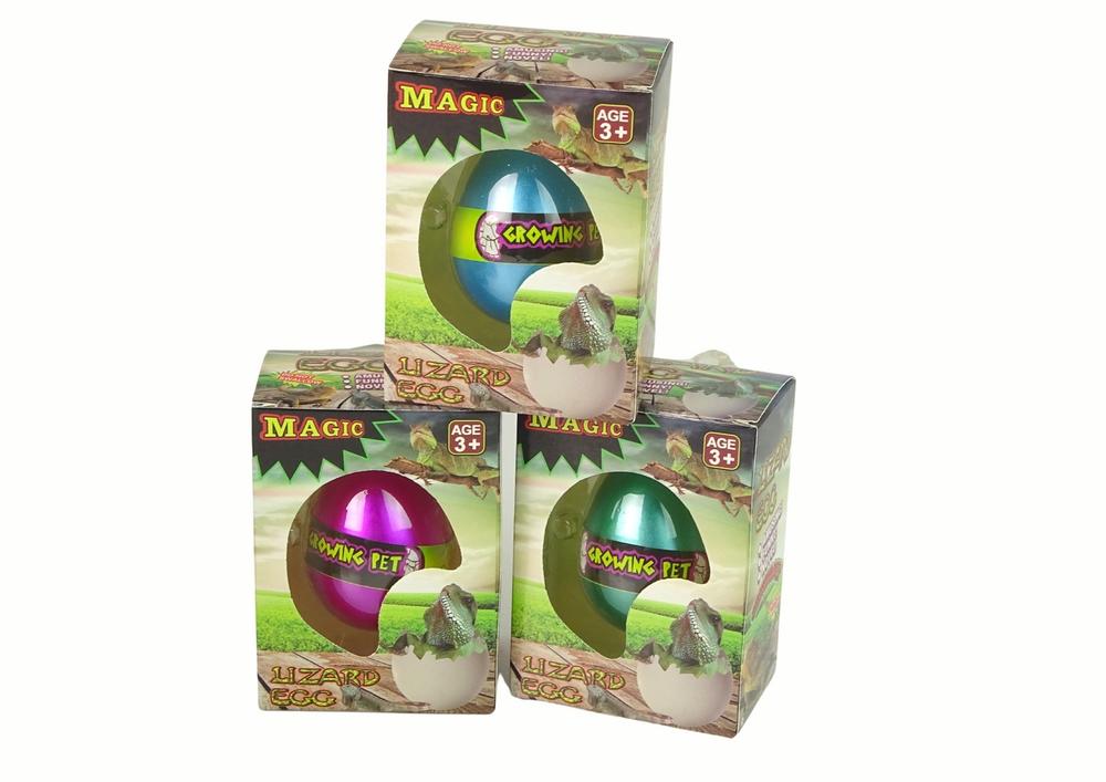 Magic Lizard Egg: Se hur det kläcks och växer i vatten!