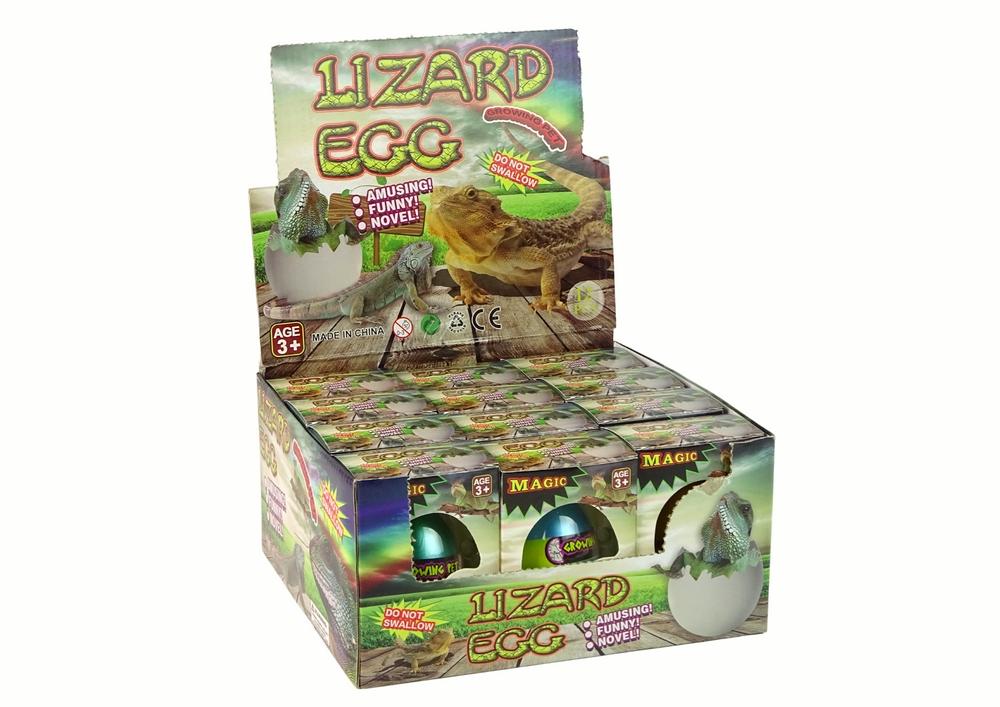 Magic Lizard Egg: Se hur det kläcks och växer i vatten!