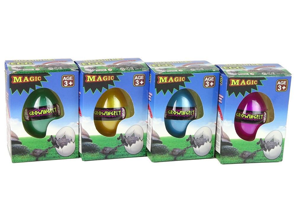 Magic Turtle Egg: Watch &amp; Learn Hatching Fun for Kids!