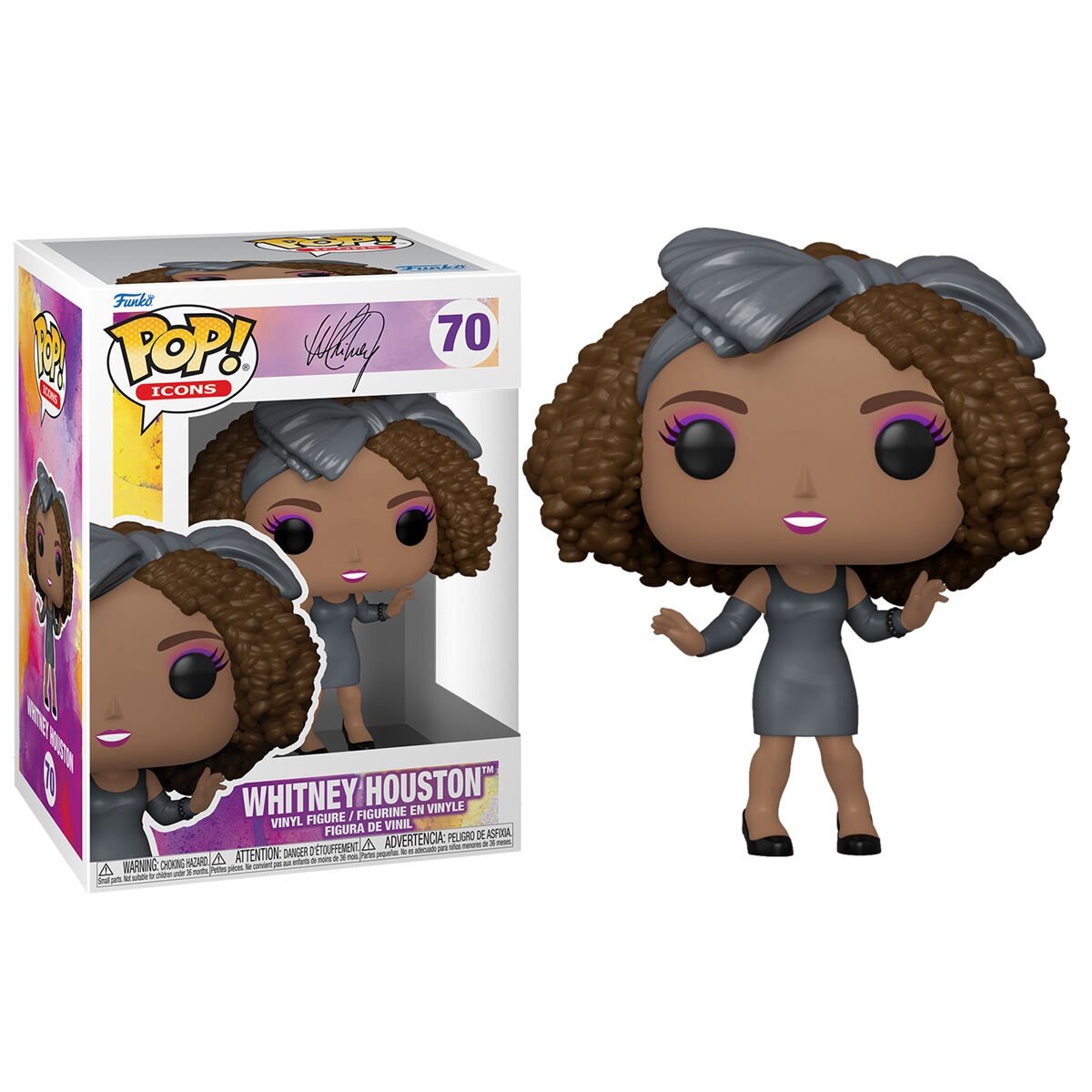 POP figur ikoner Whitney Houston