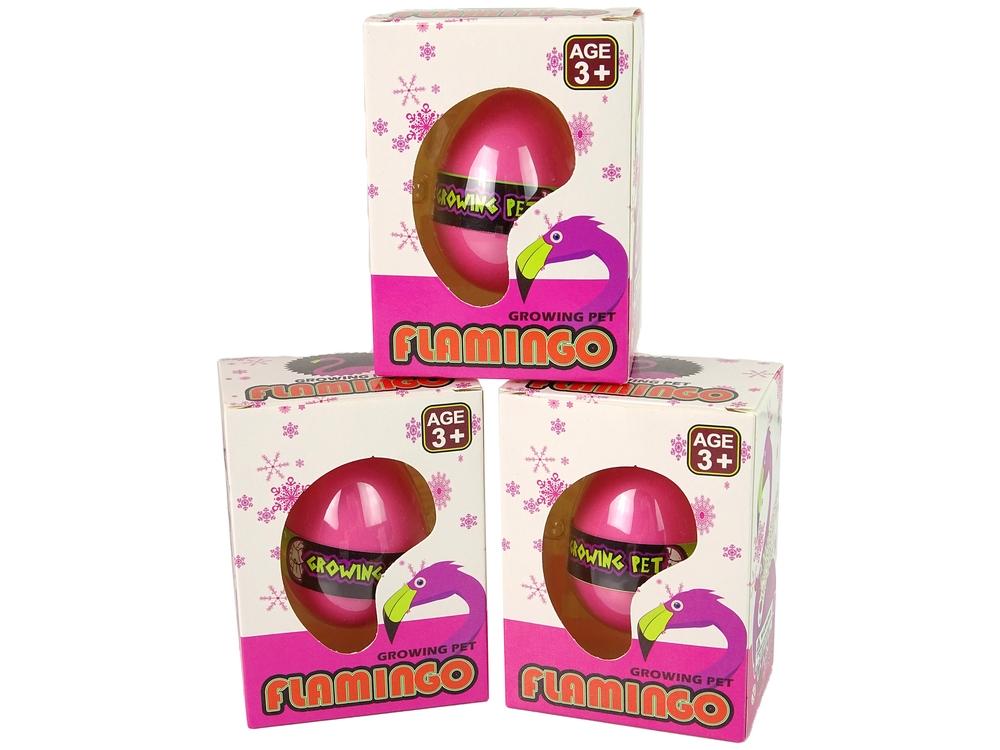 Pink Flamingo Egg: Se det klække og vokse!