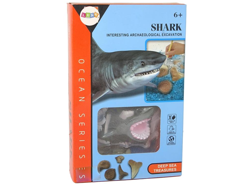 Shark Fossil Dig Kit: Utforska ammonithemligheter och lär dig hajar